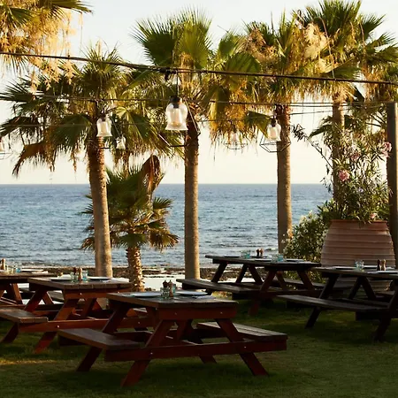 Mare Ayia Napa-3